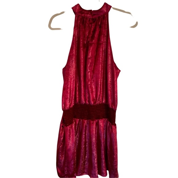 NWT RAMY BROOK Ellin Velvet Halter Garnet Red Mini Dress | Size Large | $398 - Picture 4 of 8